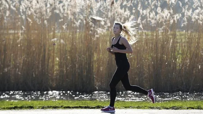 Accommodatie bij particulieren Bright With Kitchen Amsterdam